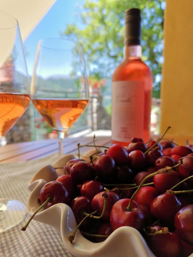 Elsa House Bed & Breakfast Mezzanego Bagian luar foto