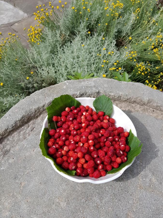 Elsa House Bed & Breakfast Mezzanego Bagian luar foto