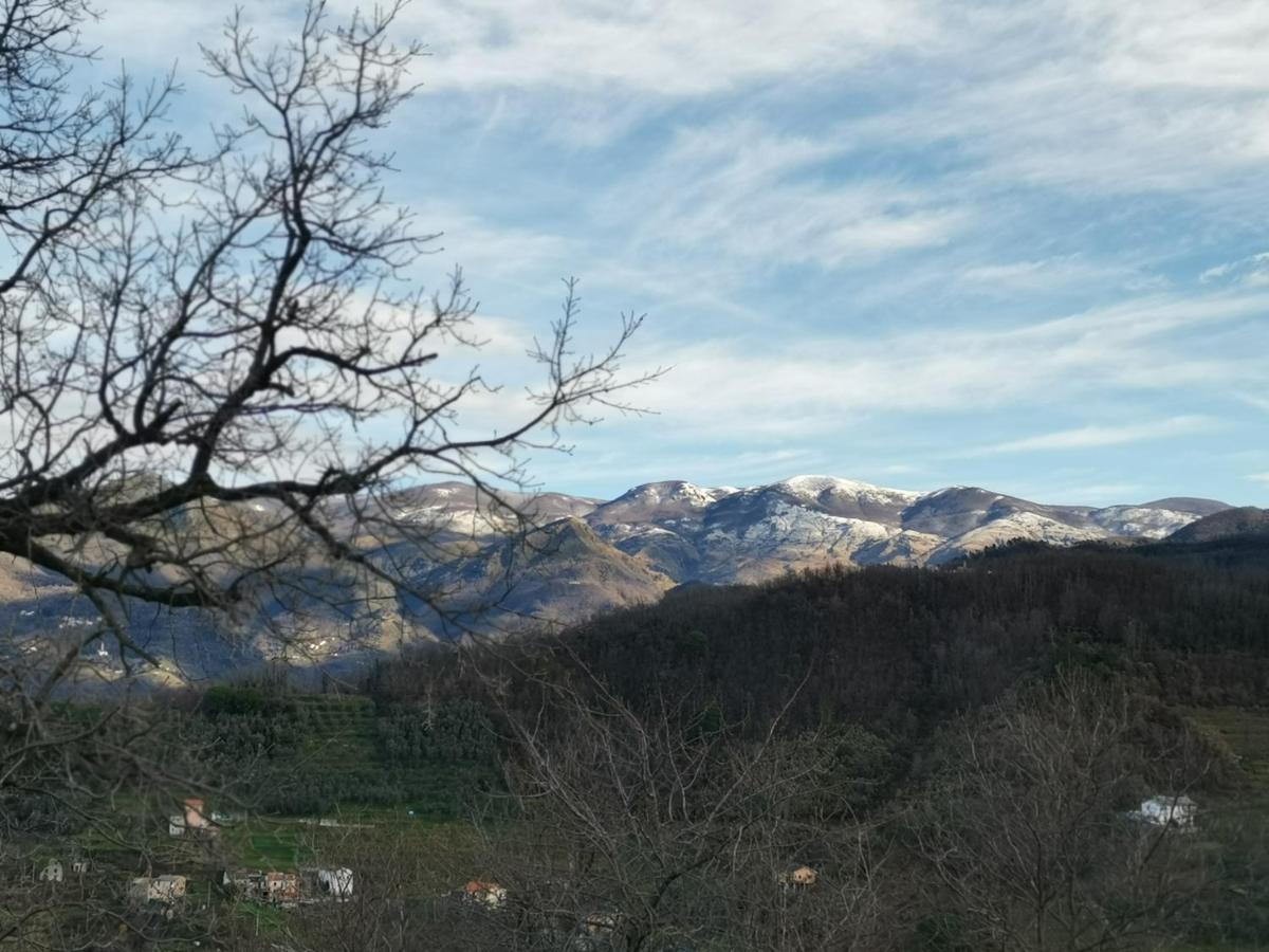 Elsa House Bed & Breakfast Mezzanego Bagian luar foto