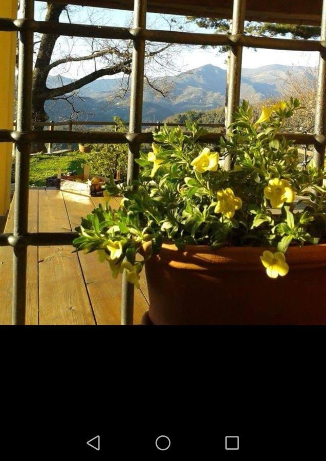 Elsa House Bed & Breakfast Mezzanego Bagian luar foto