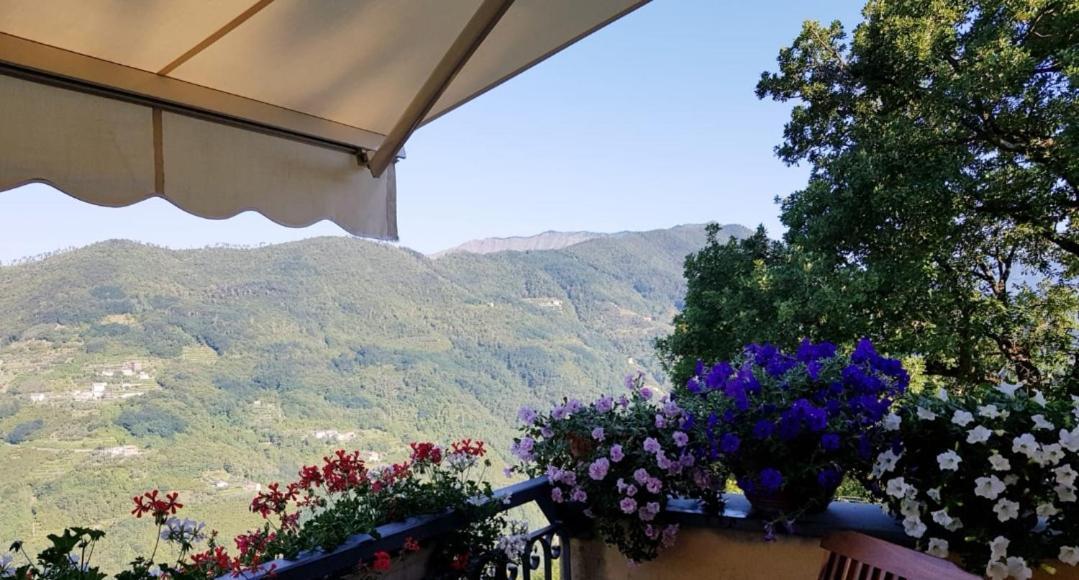 Elsa House Bed & Breakfast Mezzanego Bagian luar foto
