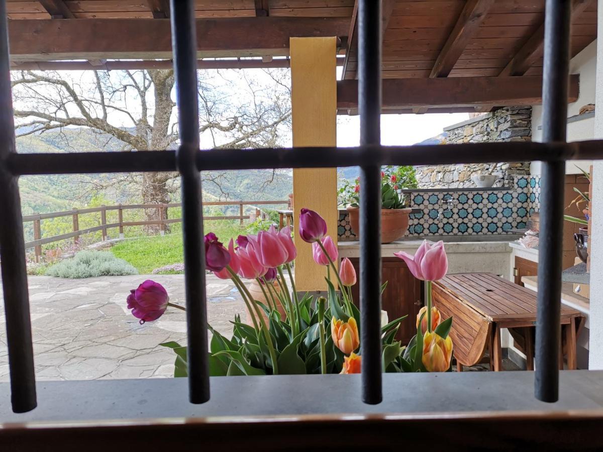Elsa House Bed & Breakfast Mezzanego Bagian luar foto