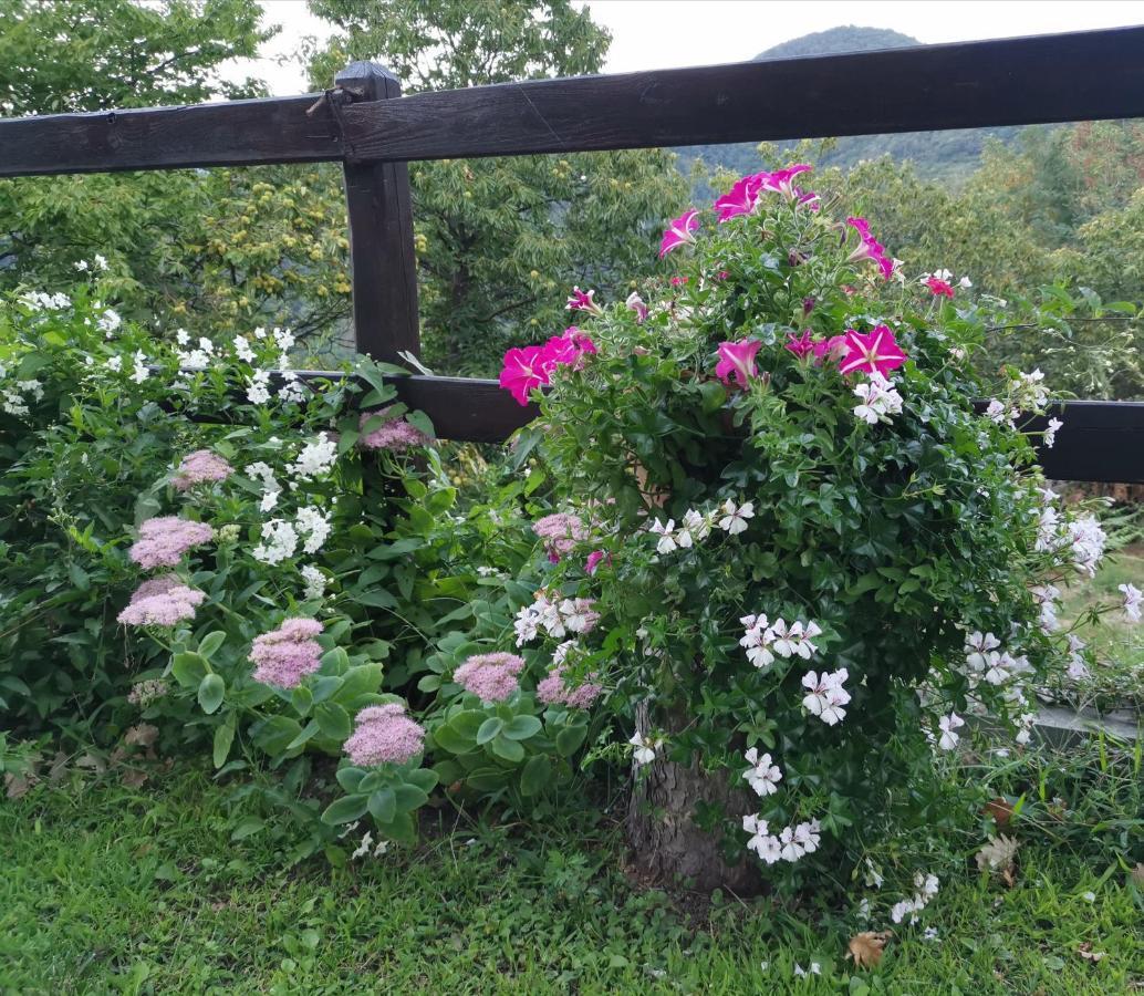 Elsa House Bed & Breakfast Mezzanego Bagian luar foto