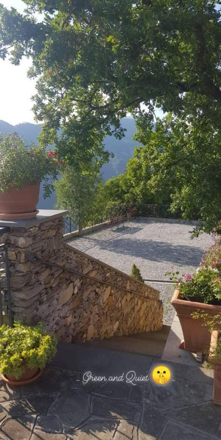 Elsa House Bed & Breakfast Mezzanego Bagian luar foto