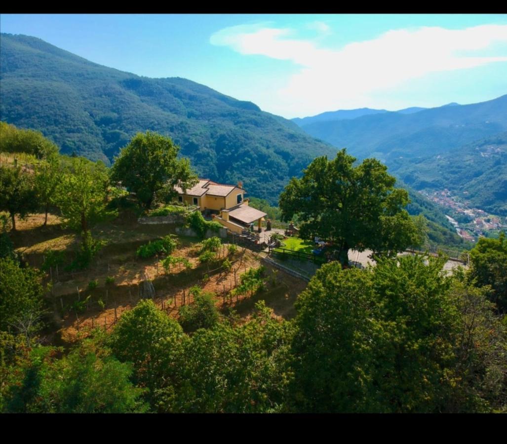 Elsa House Bed & Breakfast Mezzanego Bagian luar foto